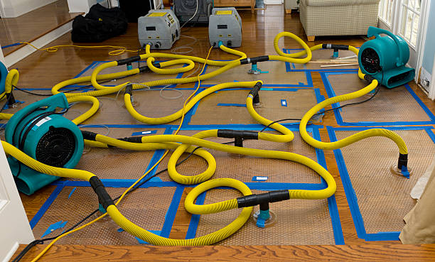 Professional Flood Damage Restoration technician working in Silverwood, MI